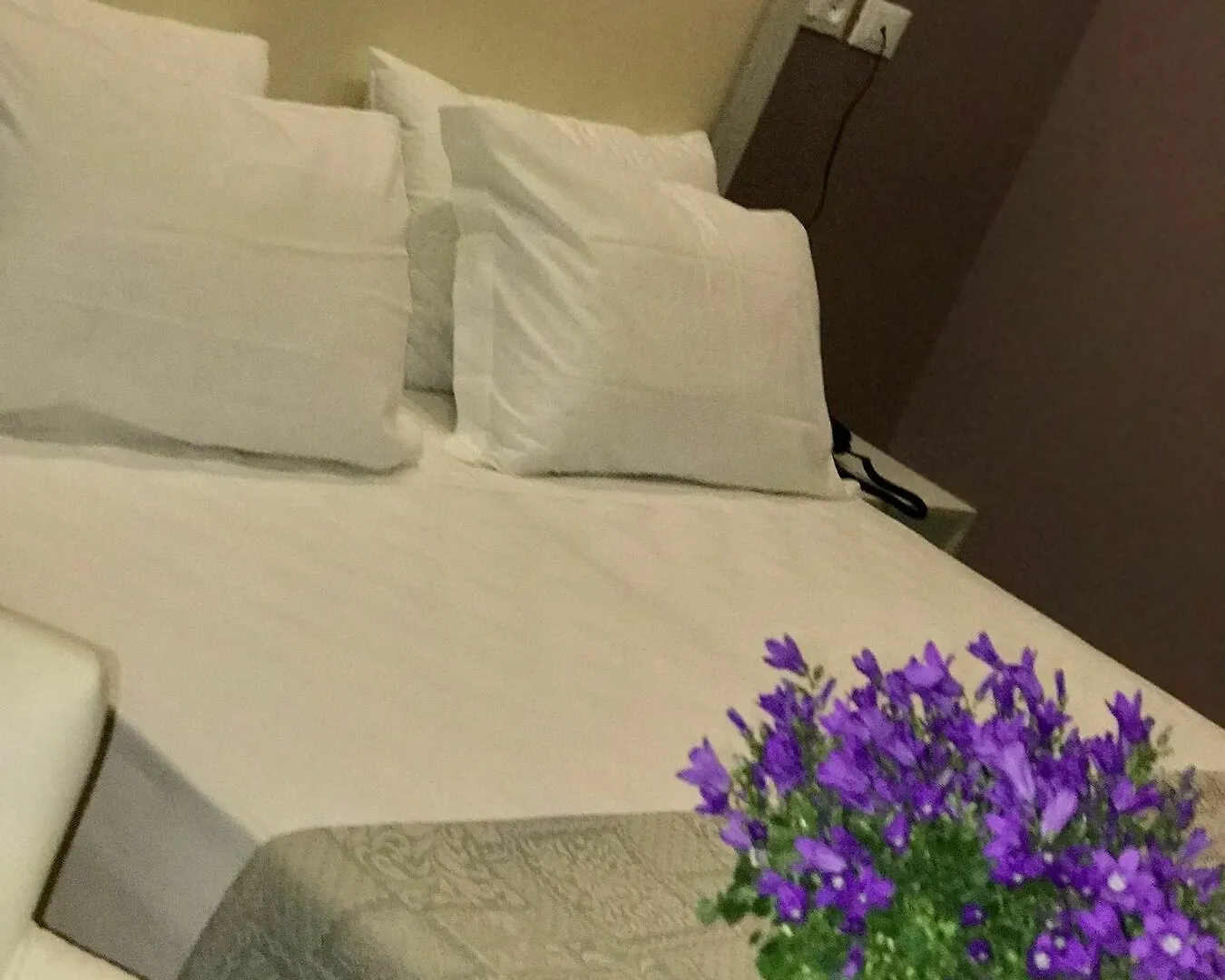 Hotel Paganini Florence